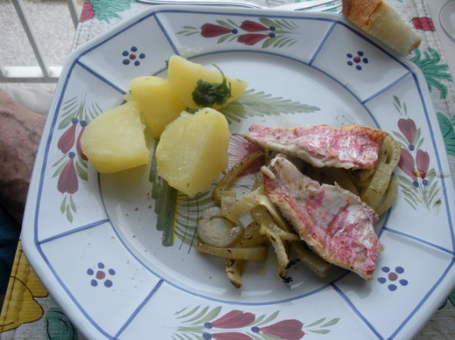 red mullet with fennel
