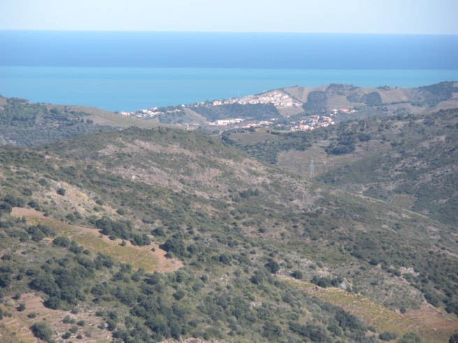 View from Col de Banyuls.JPG