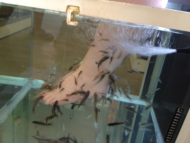 fish pedicure.JPG